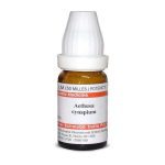 Aethusa cynapium LM