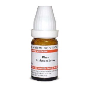 Rhus toxicodendron LM