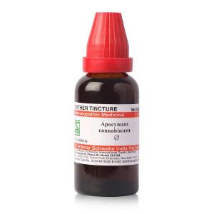 Apocynum cannabinum MT