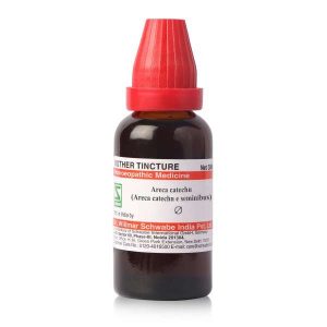 Areca catechu (Areca catechu e seminibus) MT