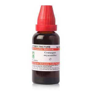 Crataegus oxyacantha MT