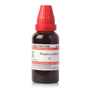 Mangifera indica MT