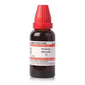 Melilotus officinalis MT