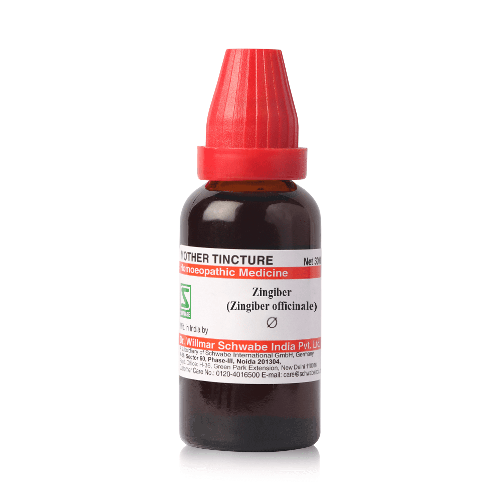 Zingiber (Zingiber officinale)