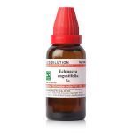 Echinacea angustifolia 3x