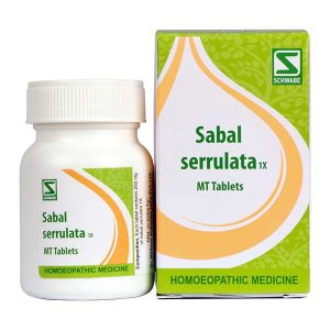 Sabal serrulata 1x MT Tabs