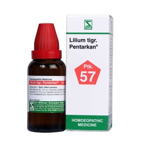 Lilium tigr. Pentarkan