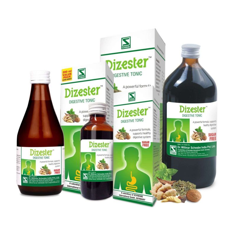 Dizester
