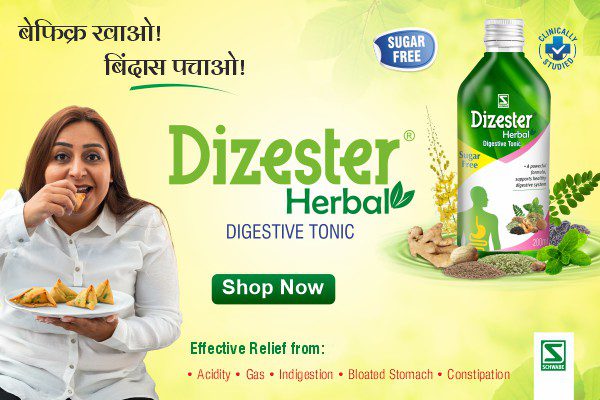 schwabe digestive tonic