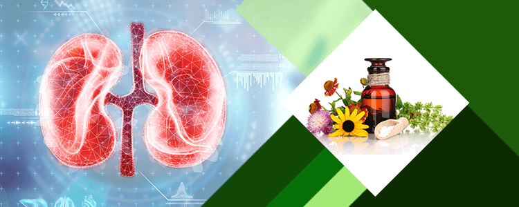 Top 4 Homeopathic Remedies for Kidney Stone