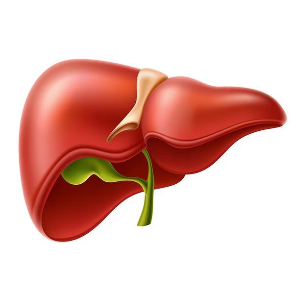 Liver tonic