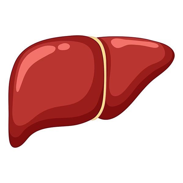 Sluggish liver